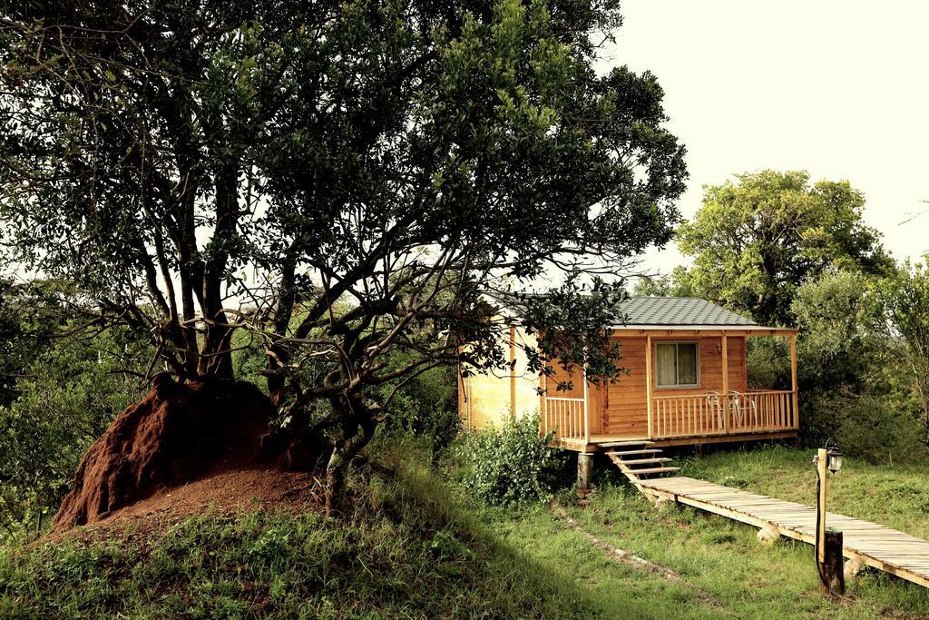 Jambo Mara Safari Lodge Ololaimutiek Pokoj fotografie