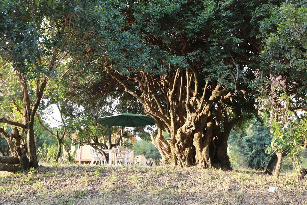 Jambo Mara Safari Lodge Ololaimutiek Exteriér fotografie