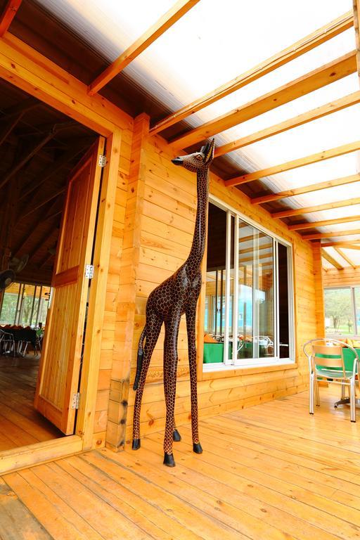 Jambo Mara Safari Lodge Ololaimutiek Pokoj fotografie