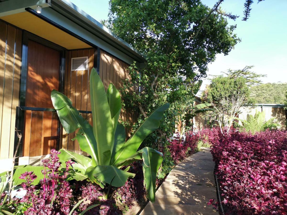 Jambo Mara Safari Lodge Ololaimutiek Exteriér fotografie
