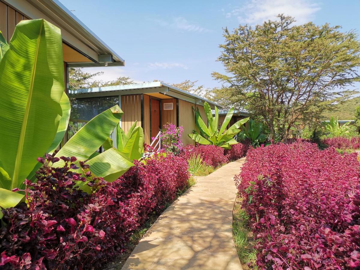 Jambo Mara Safari Lodge Ololaimutiek Exteriér fotografie